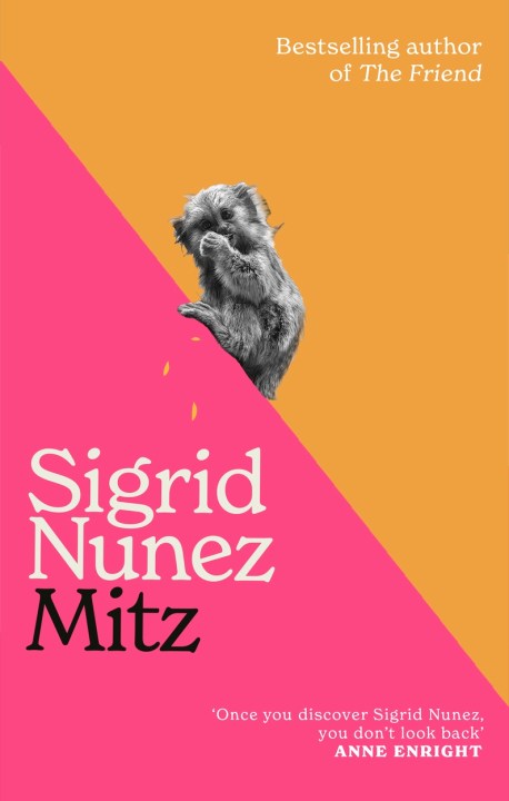 Mitz