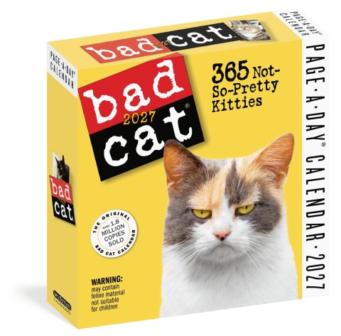 Bad Cat Page-A-Day® Calendar 2027